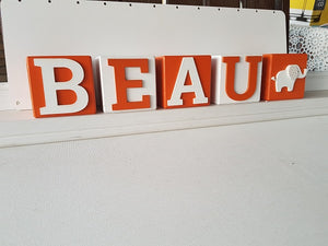 Shelf Blocks painted with Wooden Letters/Shapes